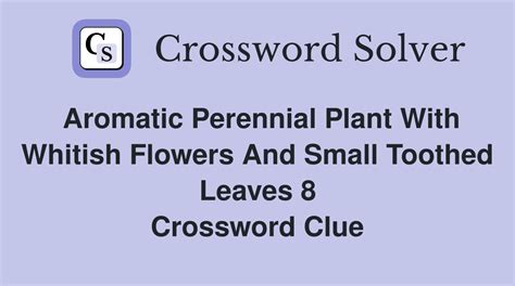 Crossword clue aromatic plant. Things To Know About Crossword clue aromatic plant. 